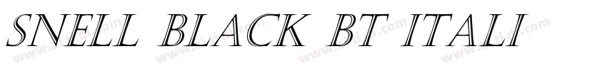 Snell Black BT Itali字体转换